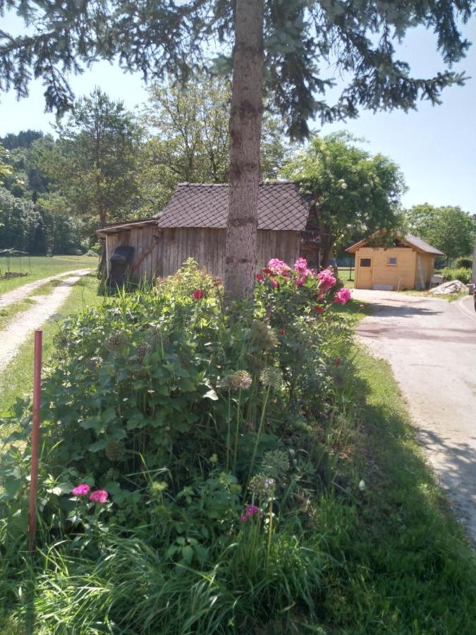 Apartmán Sobe Zeleni Raj Podnart Exteriér fotografie
